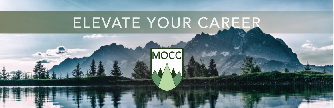 Elevate your career